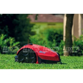 Auto Lawn Mowers vs. Traditional Mowers: Which Is Better?