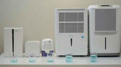 How to Maintain Your Dehumidifier: Cleaning, Filters, and Troubleshooting